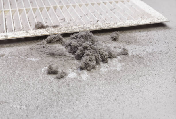 Best Affordable HVAC Duct Cleaning  in Johnson Creek, WI